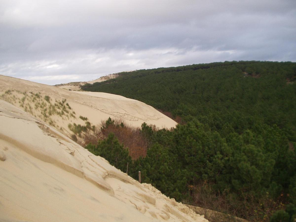 Les Amandiers Biscarrosse Exterior foto